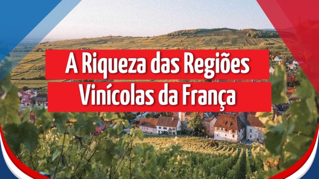 A Riqueza das Regiões Vinícolas da França